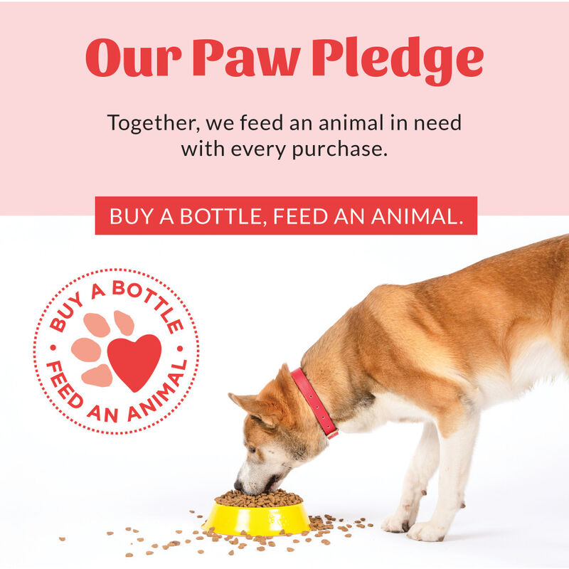 Skout's Honor Probiotic Pet Paw Spray, 8-oz image number null