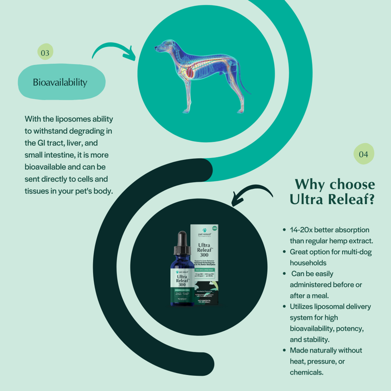 Pet Releaf CBD Liposome Hemp Oil Dog & Cat Supplement, Ultra Releaf 100, 30-ml image number null
