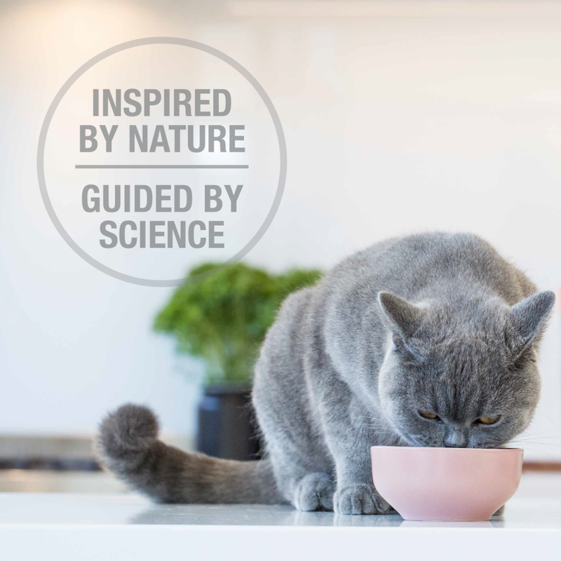 Feline Natural Freeze-Dried Cat Food, Chicken & Lamb image number null