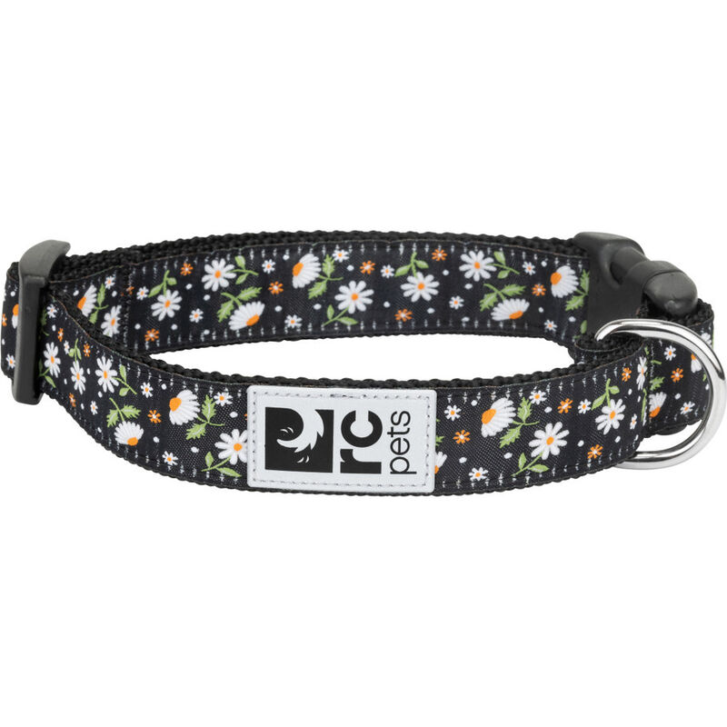 RC Pets Clip Dog Collar, Daisies image number null