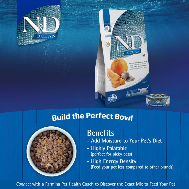 Farmina N&D Ocean Dry Cat Food, Herring Pumpkin & Orange, Adult, 3.3-lb image number null