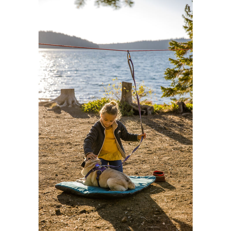 Ruffwear Knot-a-Hitch Dog Hitching System, Red Clay image number null