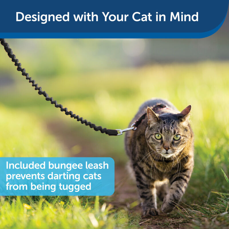 PetSafe Come With Me Kitty Harness & Bungee Cat Leash, Black/Silver image number null