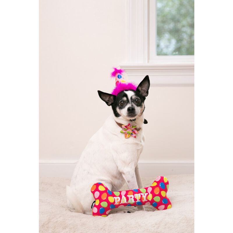 Huxley & Kent Pet Party Hat, Party Time Pink image number null