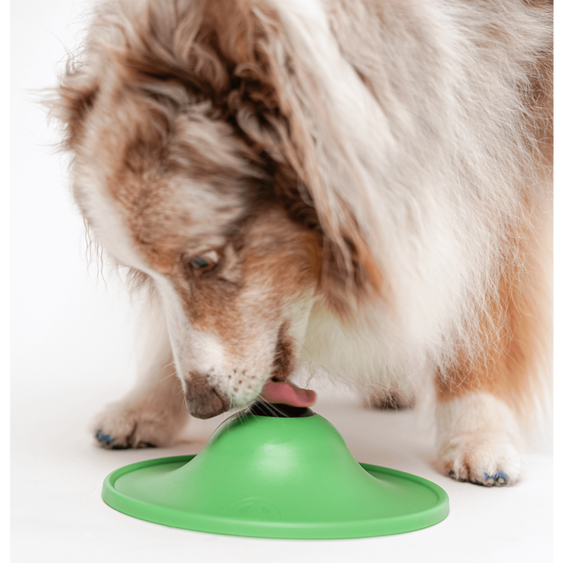 Stashios Soothing Sauce Dog Treat, Calming, Beef Bone Broth, 2.7-g image number null