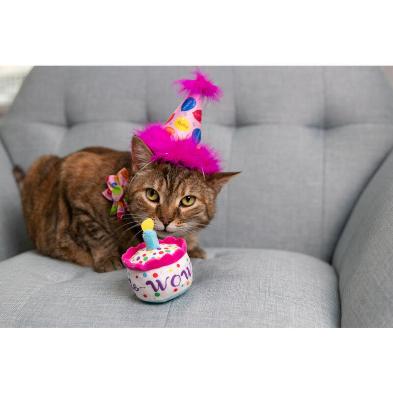 Huxley & Kent Pet Party Hat, Party Time Pink image number null