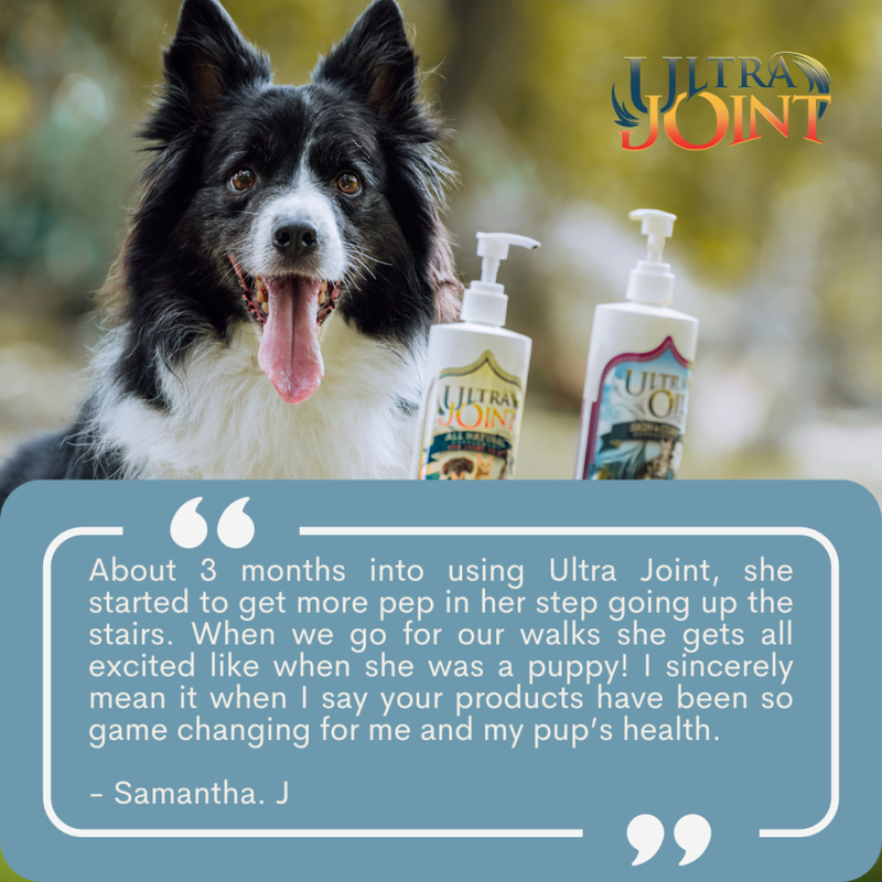 Ultra Oil Joint Dog & Cat Supplement, 16-oz image number null