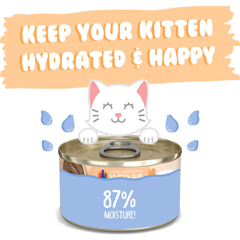 Weruva Kitten Canned Cat Food, Tuna & Salmon in Puree, 3-oz image number null