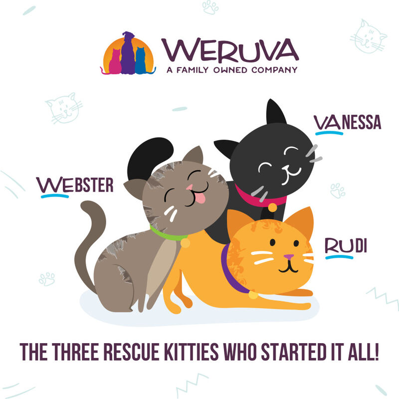 Weruva Classic Canned Cat Food, Funky Chunky, Chicken Soup & Pumpkin, 5.5-oz image number null