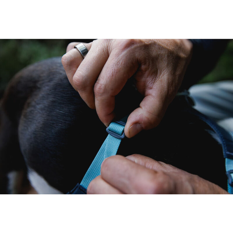 Ruffwear Hi & Light Lightweight Dog Harness, Alpenglow Pink image number null