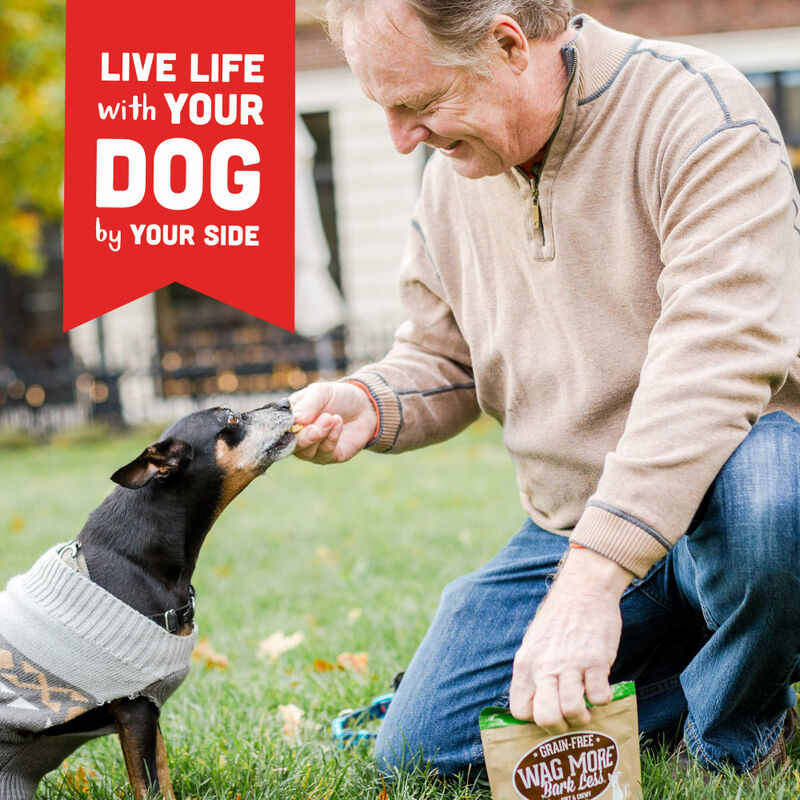 Wag More Bark Less Grain-Free Soft & Chewy Dog Treats, Chicken & Sweet Potato, 5-oz image number null