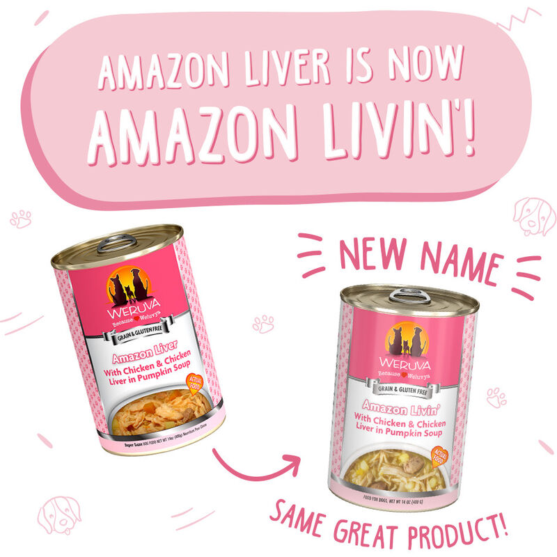 Weruva Classic Canned Dog Food, Amazon Livin', Chicken Liver & Pumpkin Soup, 14-oz image number null