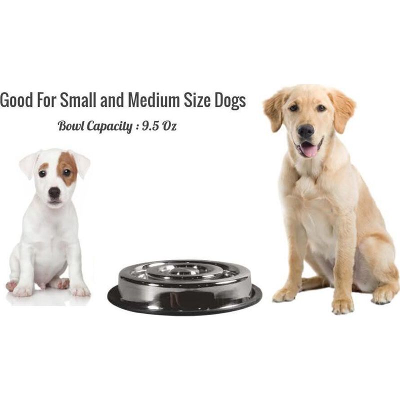 Indipets Stainless Steel Spiral Slow Feed Dog Bowl image number null