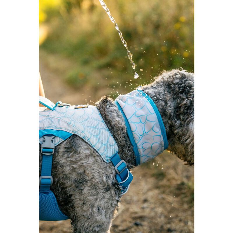 Ruffwear Swamp Cooler Dog Cooling Neck Gaiter, Biolumin Blue image number null