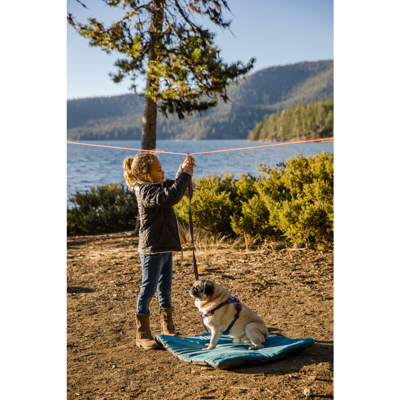Ruffwear Knot-a-Hitch Dog Hitching System, Red Clay image number null