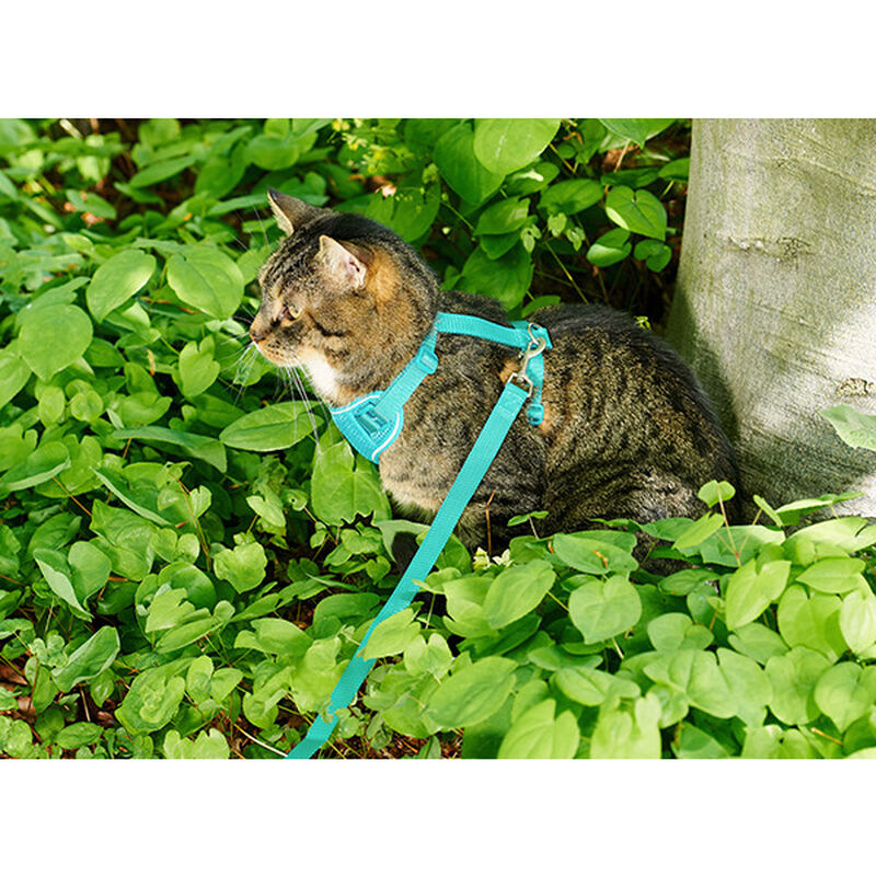 RC Pets Adventure Kitty Harness, Black image number null