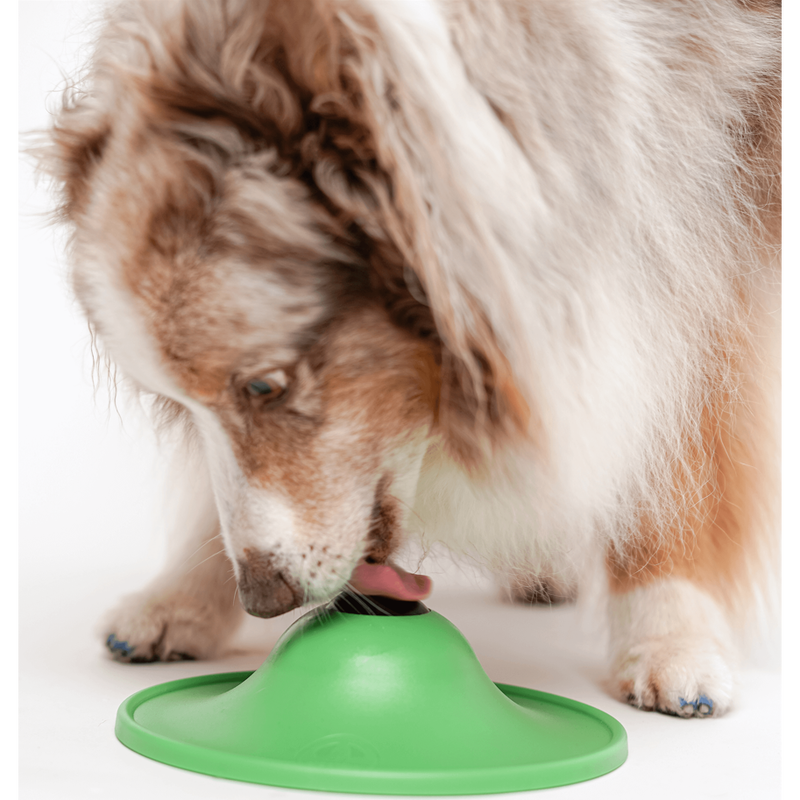 Stashios Soothing Saucer Dog Calming Kit image number null