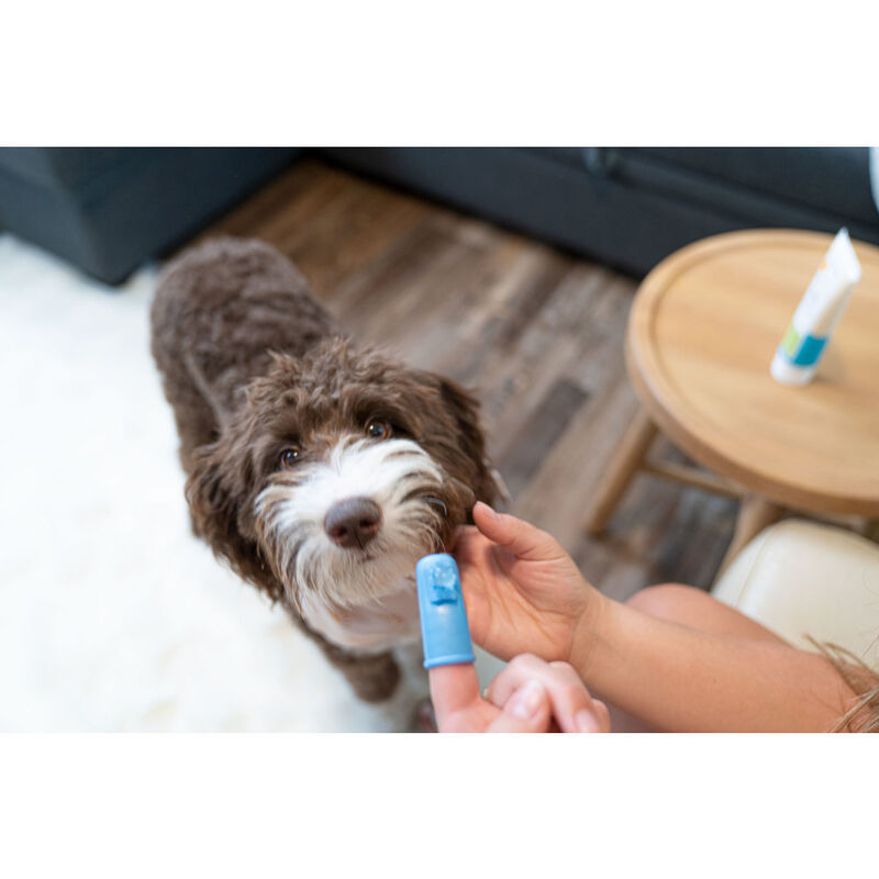 Oxyfresh Premium Pet Finger Toothbrush image number null