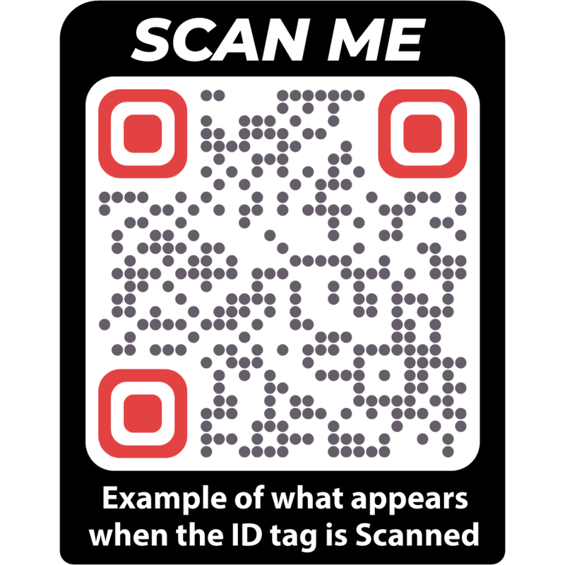 SmartLink Hanging Pet ID Tag, Pink image number null