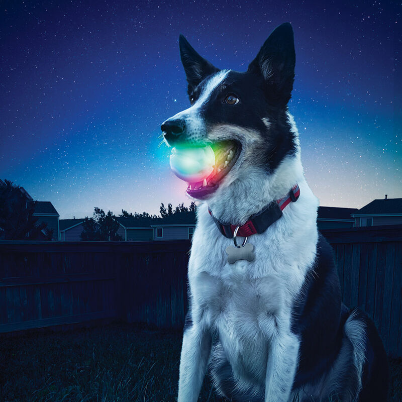 Nite Ize GlowStreak LED Ball Dog Toy, Disc-O image number null