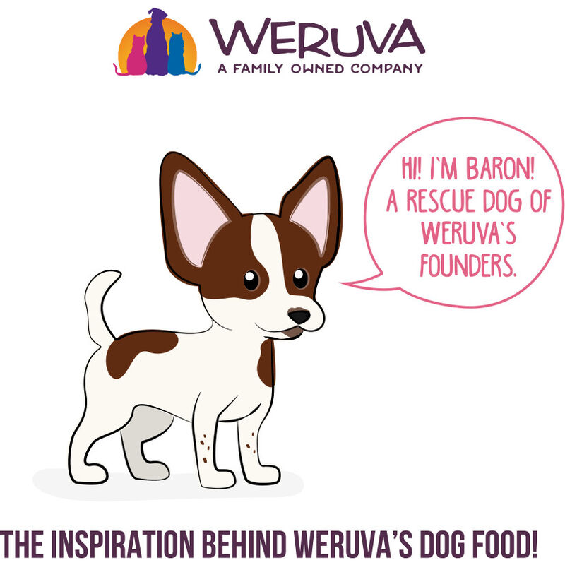 Weruva Classic Canned Dog Food, Amazon Livin', Chicken Liver & Pumpkin Soup, 14-oz image number null