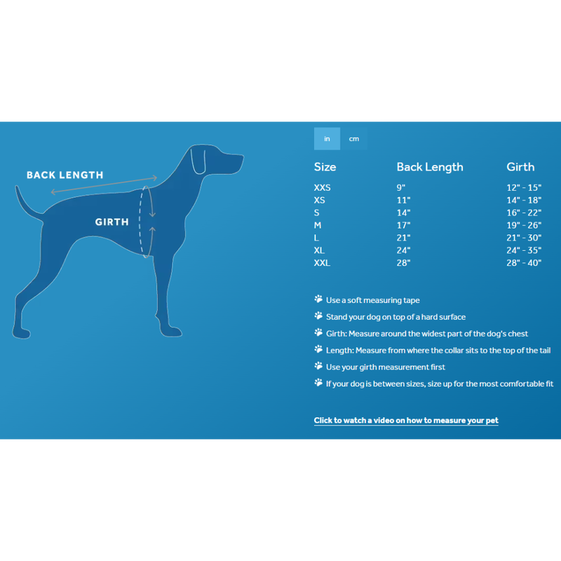 RC Pets Zephyr Cooling Dog Vest, Aqua image number null