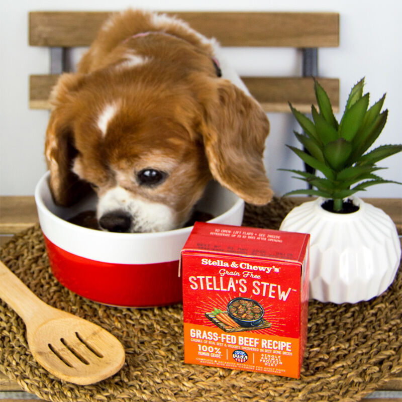 Stella & Chewy's Stella's Stew Wet Dog Food, Grass-Fed Beef, 11-oz image number null