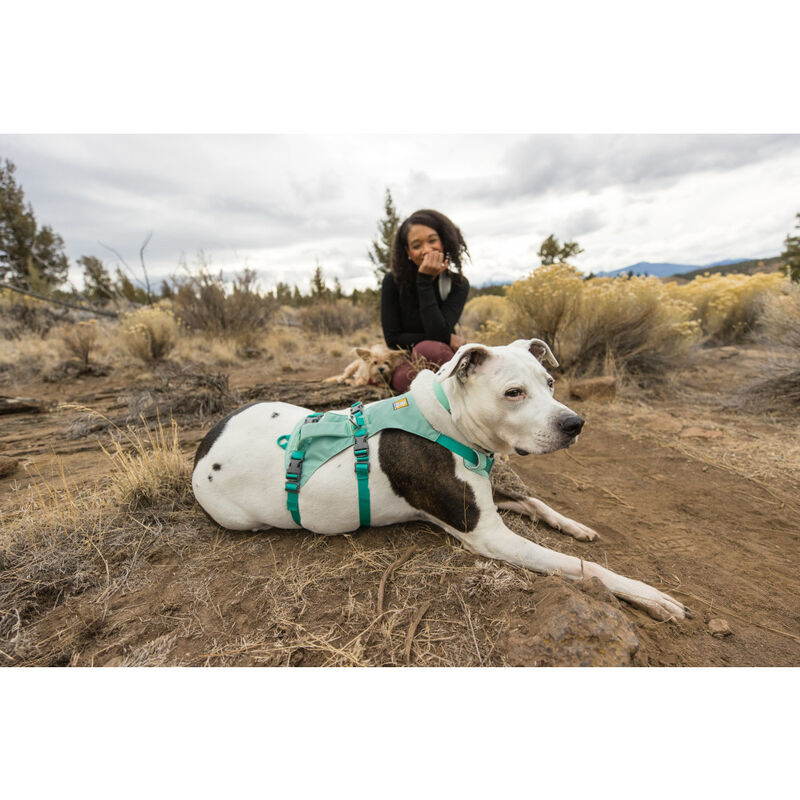 Ruffwear Flagline Dog Harness, Sage Green image number null