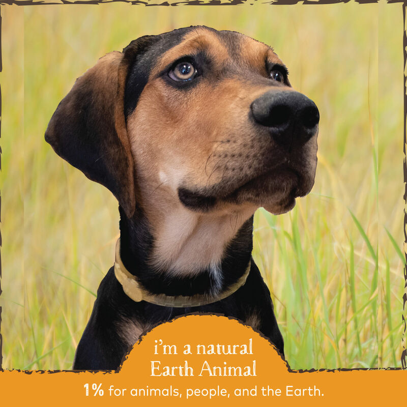 Earth Animal Nature's Protection Flea & Tick Daily Internal Powder Dog & Cat Supplement, 1-lb image number null