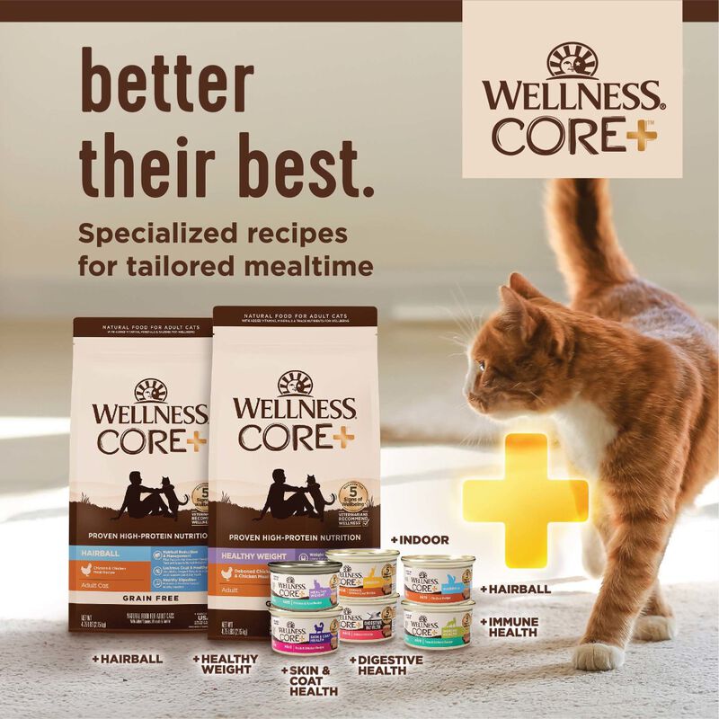Wellness Core Grain-Free Dry Cat Food, Indoor, Chicken & Turkey image number null