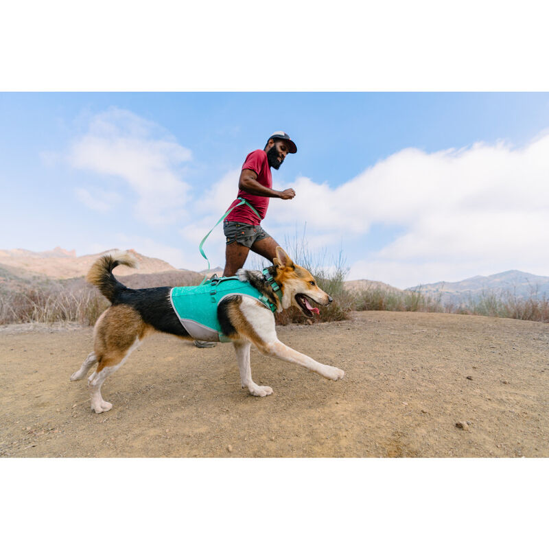 Ruffwear Hi & Light Lightweight Dog Harness, Sage Green image number null
