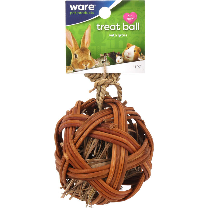 Ware Pet Products Edible Treat Ball Small Animal Chew Toy, 4-in image number null