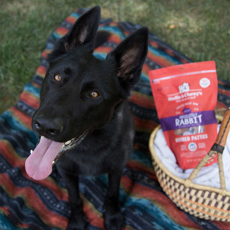 Stella & Chewy's Dinner Patties Raw Freeze-Dried Dog Food, Absolutely Rabbit, 14-oz image number null