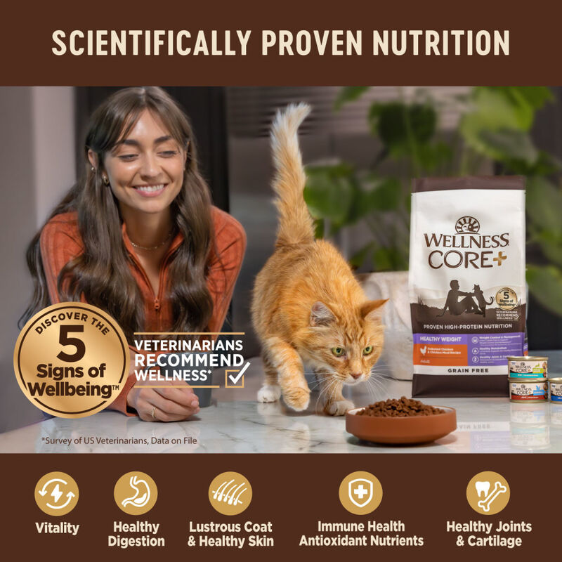 Wellness Core Grain-Free Dry Cat Food, Indoor, Chicken & Turkey image number null