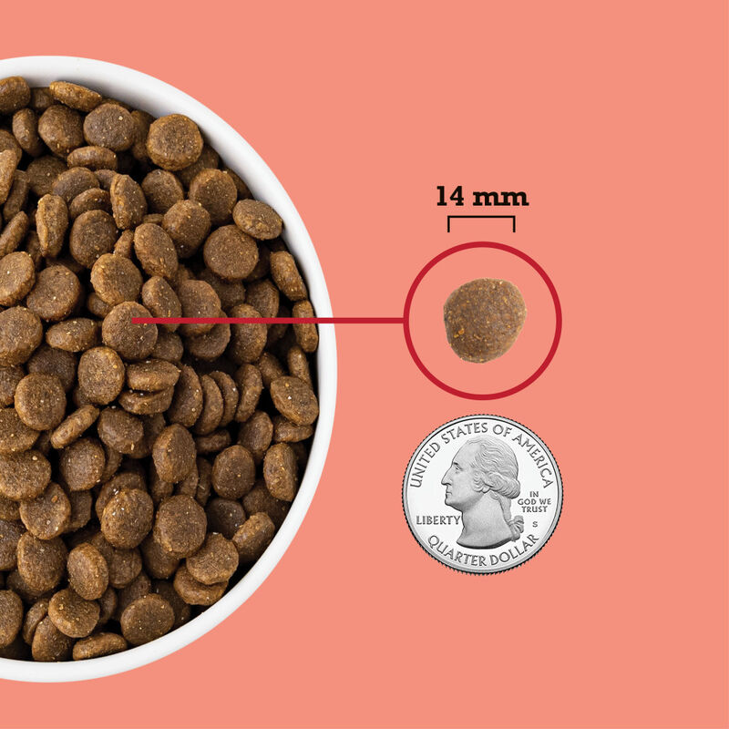 Acana Grain-Free Dry Dog Food, Red Meat, 25-lb image number null