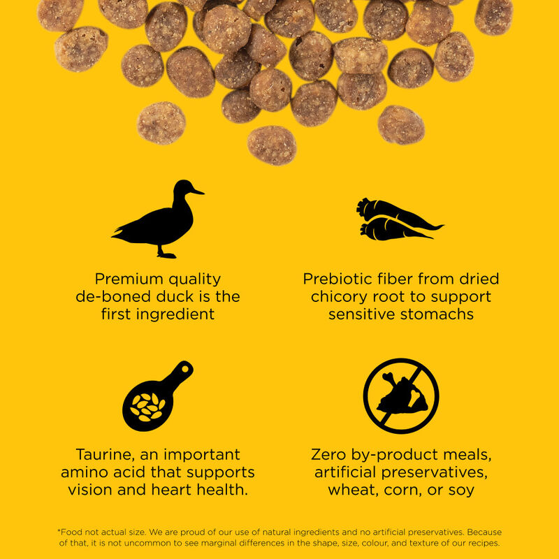 Go! Solutions Sensitivities Limited Ingredient Dry Cat Food, Duck image number null