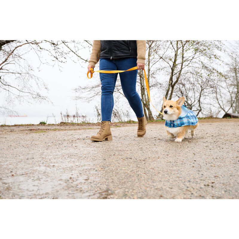 RC Pets Packable Dog Rain Poncho, Blue Plaid image number null