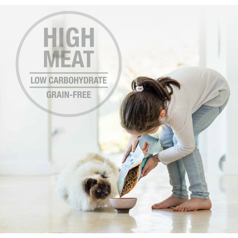 Feline Natural Freeze-Dried Cat Food, Lamb & Salmon image number null