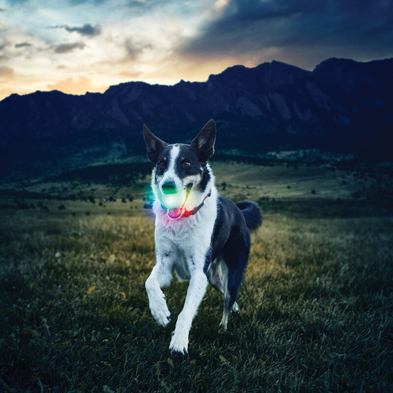 Nite Ize GlowStreak LED Ball Dog Toy, Disc-O image number null