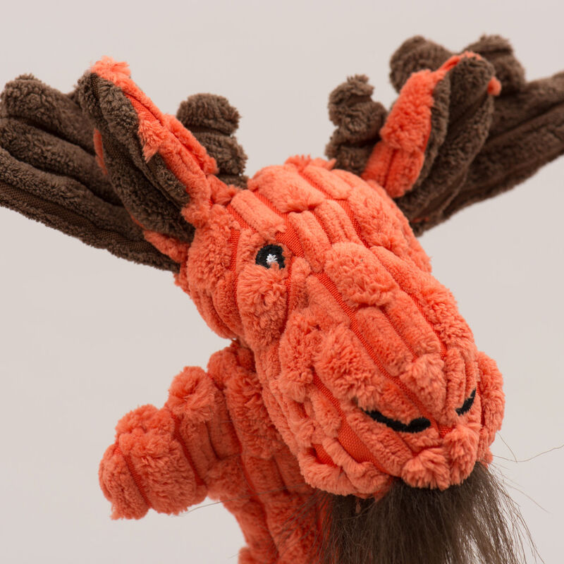 Hugglehounds HuggleFlatties Dog Toy, Small, Woodland Assortment image number null