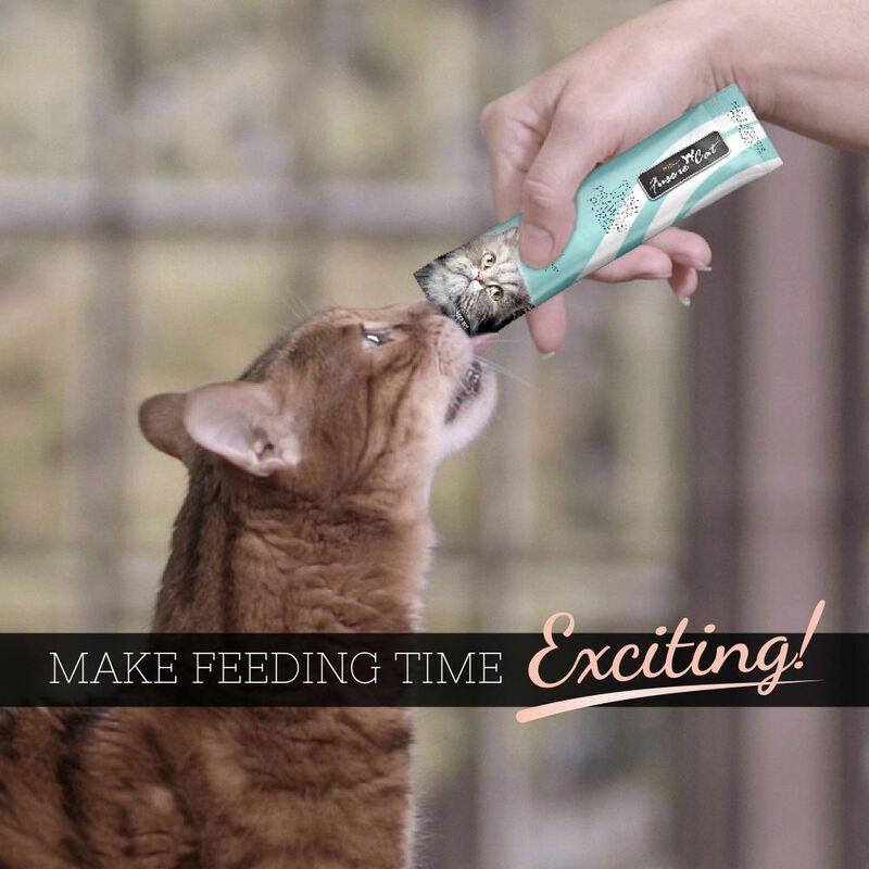 Fussie Cat Premium Puree Cat Treat, Tuna & Prawns, 4-count image number null