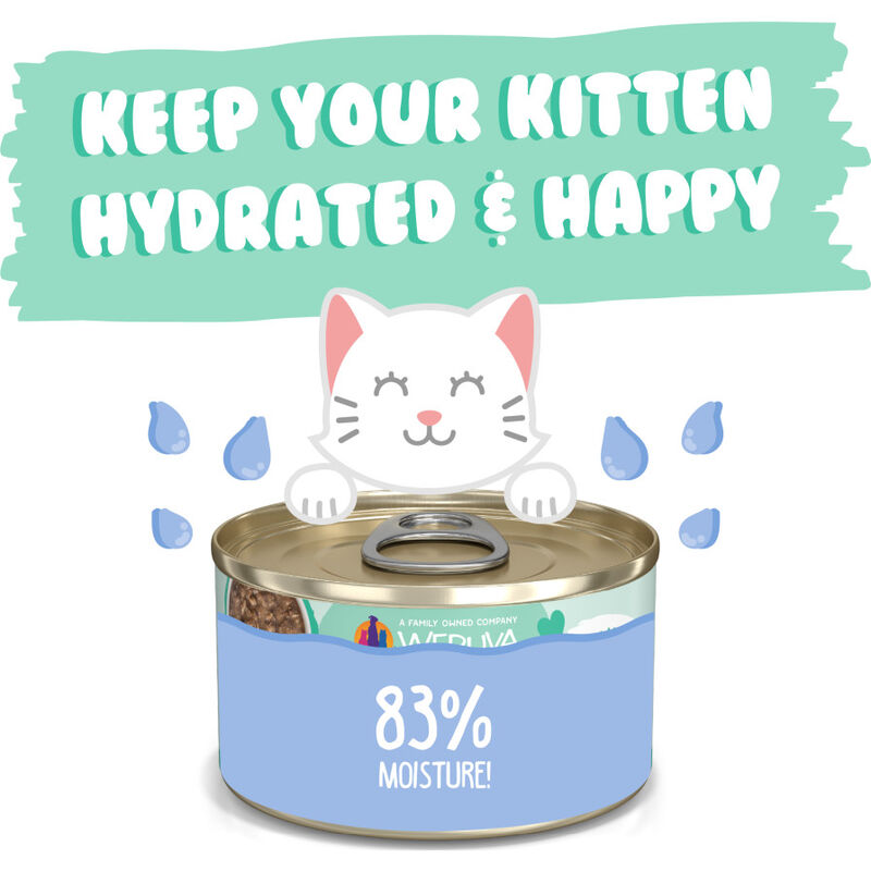 Weruva Kitten Canned Cat Food, Chicken & Tuna in Gravy, 3-oz image number null