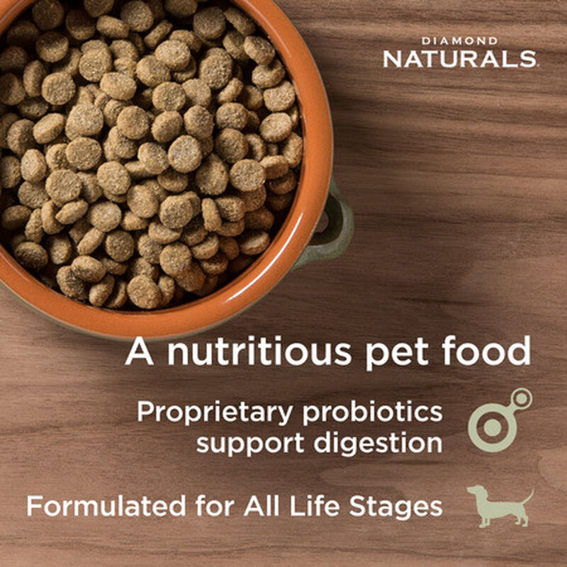 Diamond Naturals Dry Dog Food, Skin & Coat, Salmon, 30-lb image number null