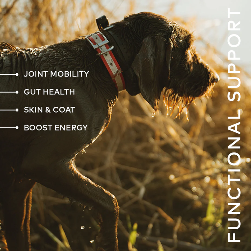Furvor Bone Broth Hydration Pack Dog, Beef, .36-oz image number null