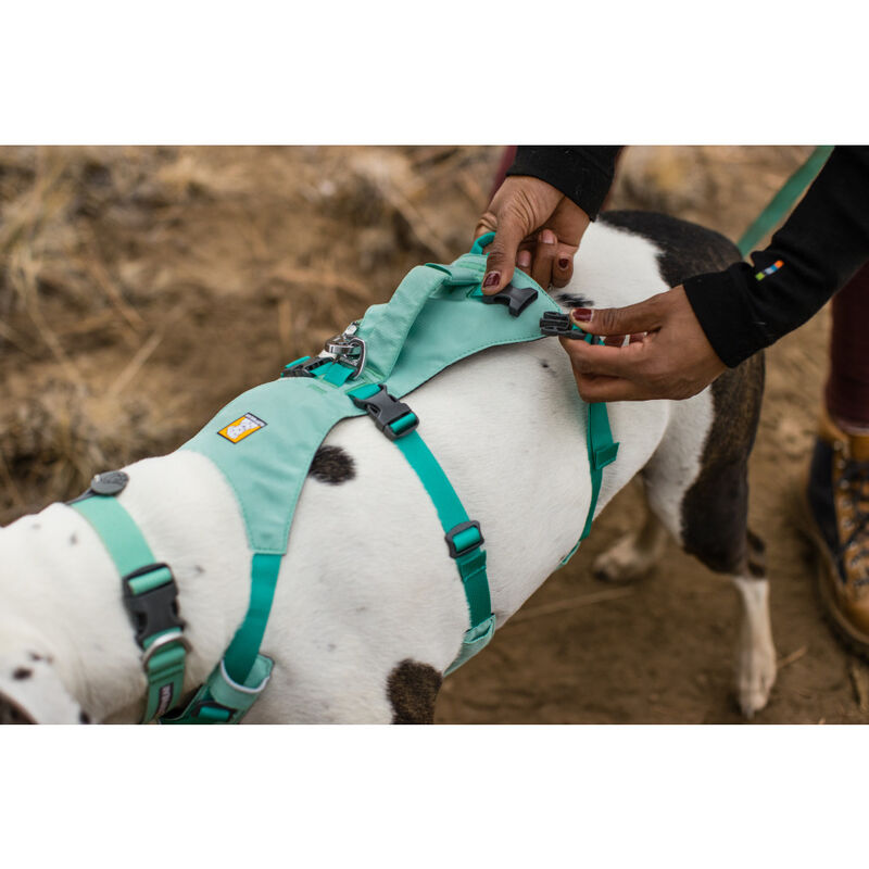 Ruffwear Flagline Dog Harness, Sage Green image number null