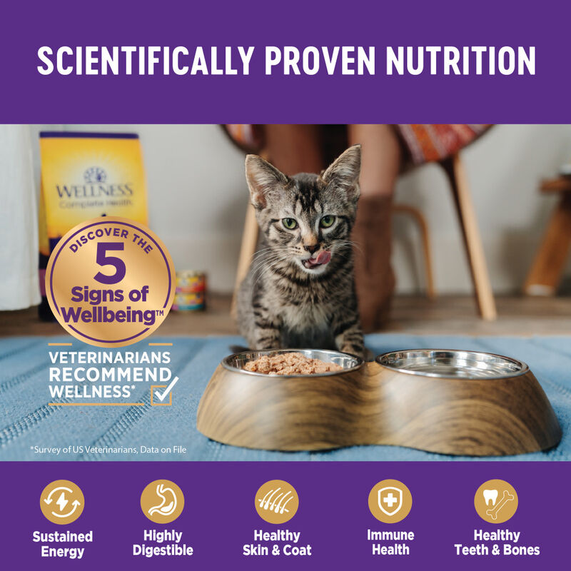 Wellness Complete Health Pate Canned Cat Food, Chicken image number null