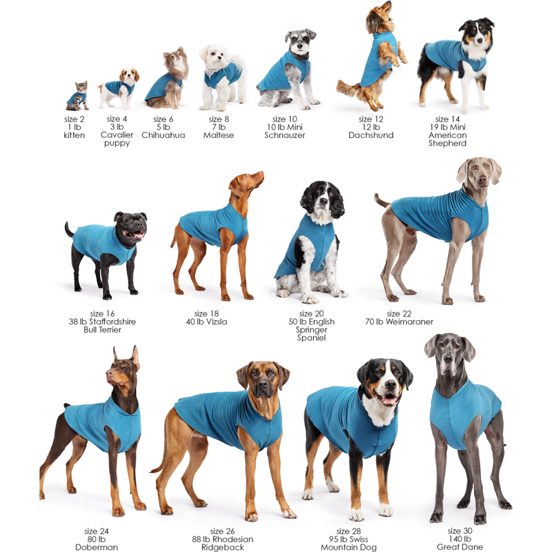 Gold Paw Sun Shield Dog Tee, Pebble Grey image number null