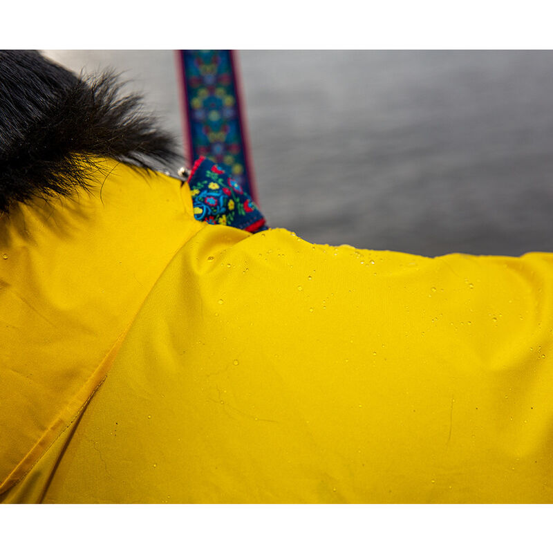 RC Pets Delta Dog Rain Slicker, Lemon image number null