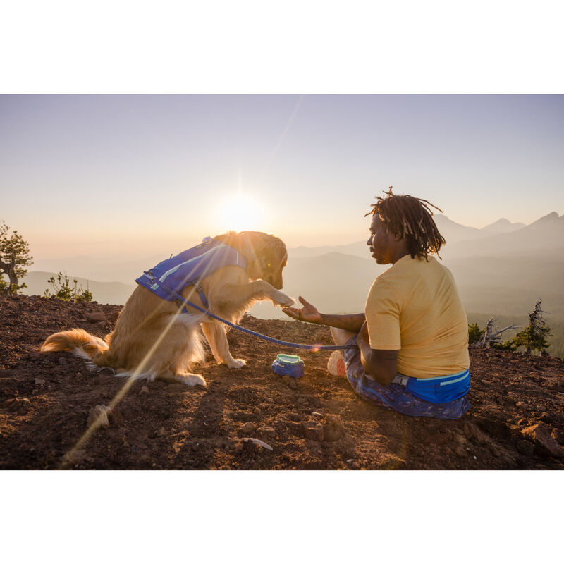 Ruffwear Trail Runner Ultralight Packable Dog Bowl, Blue Pool image number null