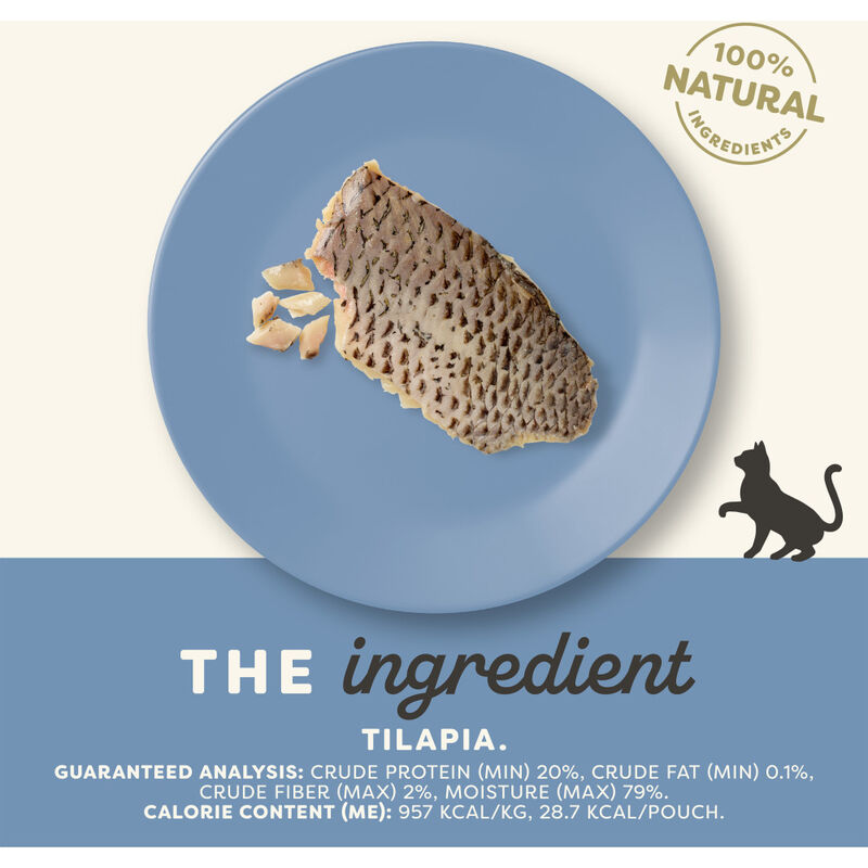 Applaws Natural Loin Cat Treat, Tilapia, 1.06-oz image number null
